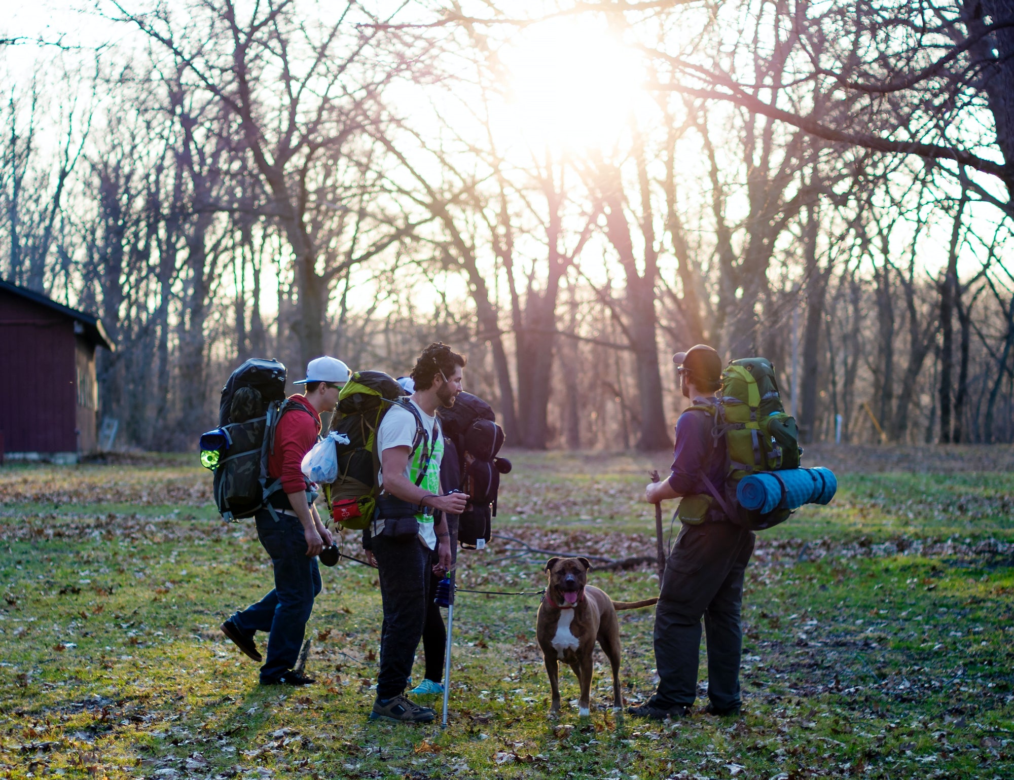 Your summer essentials when hiking or camping