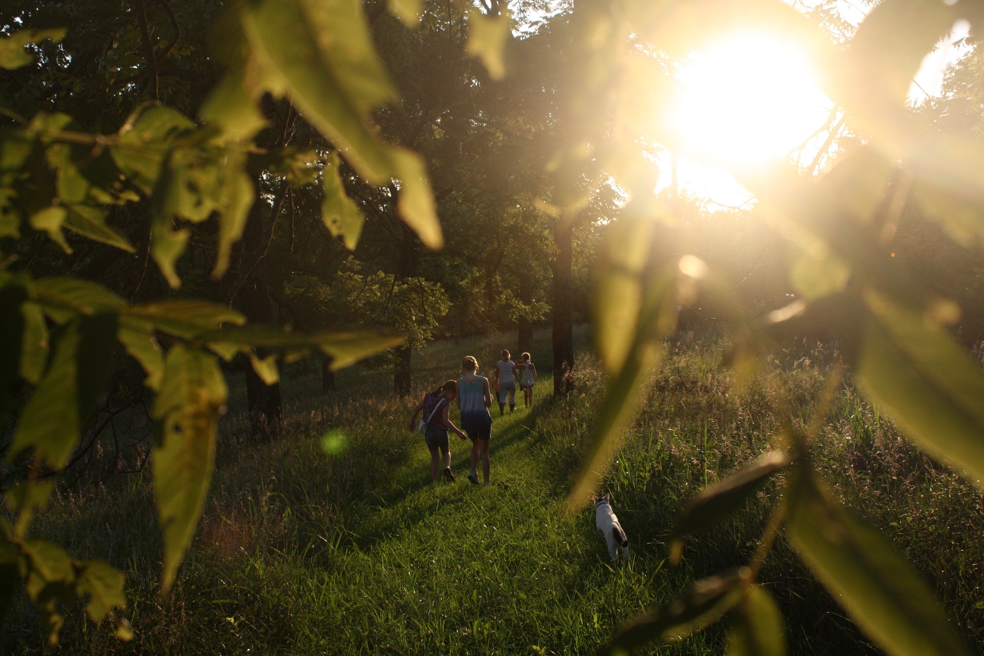 The benefits of being active and outdoors